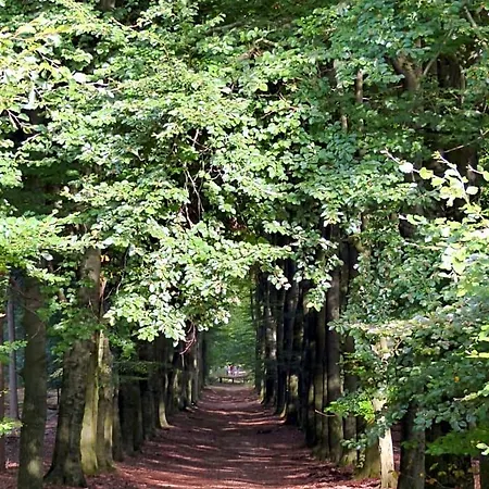 Bed & Breakfast Onder De Rode Beuk Dieren