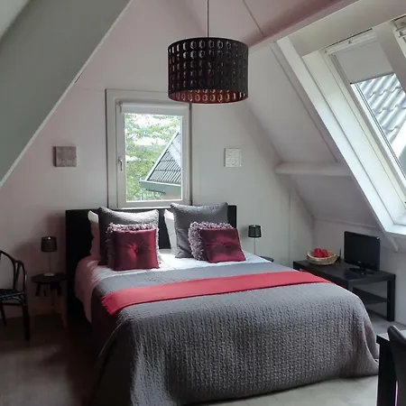 Onder De Rode Beuk