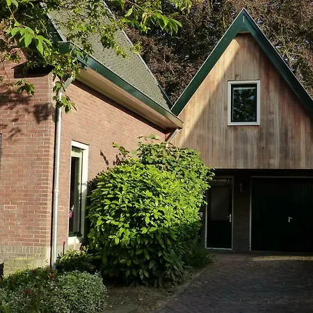 Onder De Rode Beuk Dieren