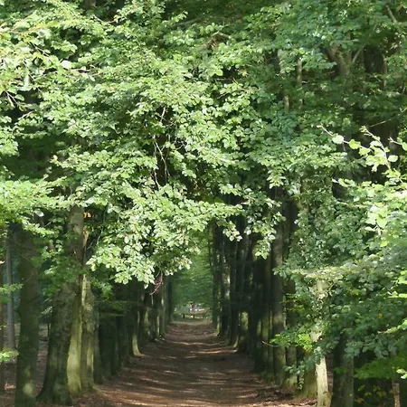 Bed & Breakfast Onder De Rode Beuk 3*