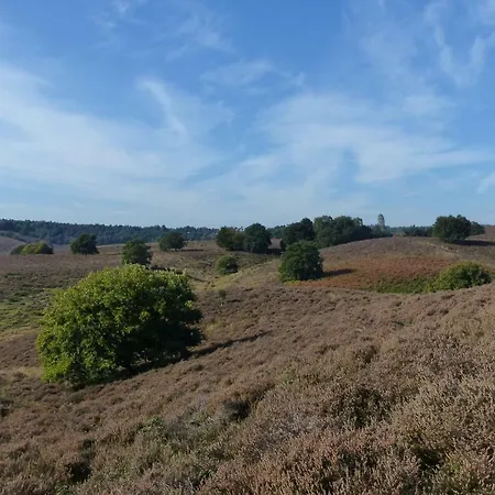 Onder De Rode Beuk 3* 디렌