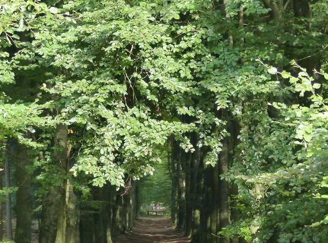 فندق مبيت وإفطار Onder De Rode Beuk 3*