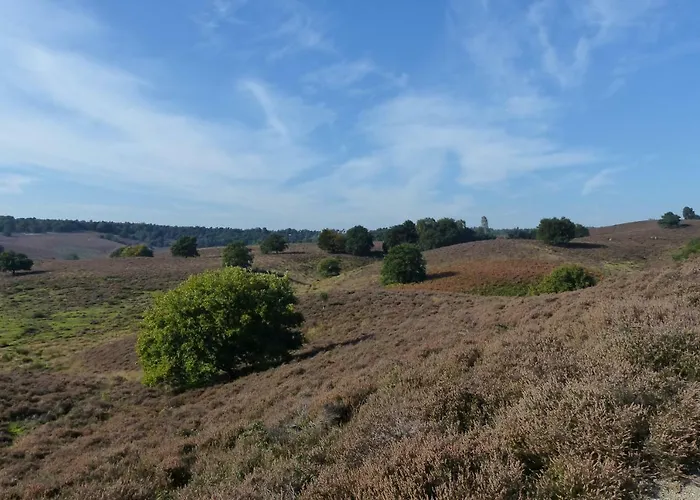 Onder De Rode Beuk 3* ديرين